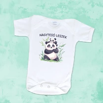 Kép 1/6 - Nagytesó leszek (Pandatesók) - Babaruha