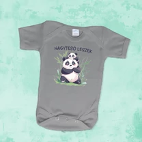 Kép 2/6 - Nagytesó leszek (Pandatesók) - Babaruha