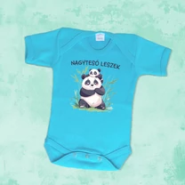 Kép 3/6 - Nagytesó leszek (Pandatesók) - Babaruha