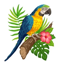 Kép 4/5 - Papagáj Fodros - Tütü szett