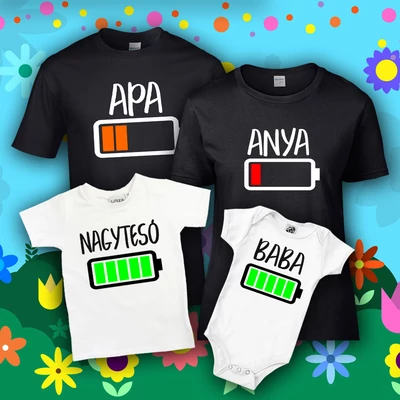 Family Akkumulátor 4-es Családi csomag