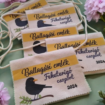 Egyedi tervezésű Ballagási tarisznya, egységes mintával (07A típus, egységes)