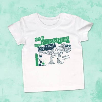 Ez a kisdínó már ovis - Gyerek póló