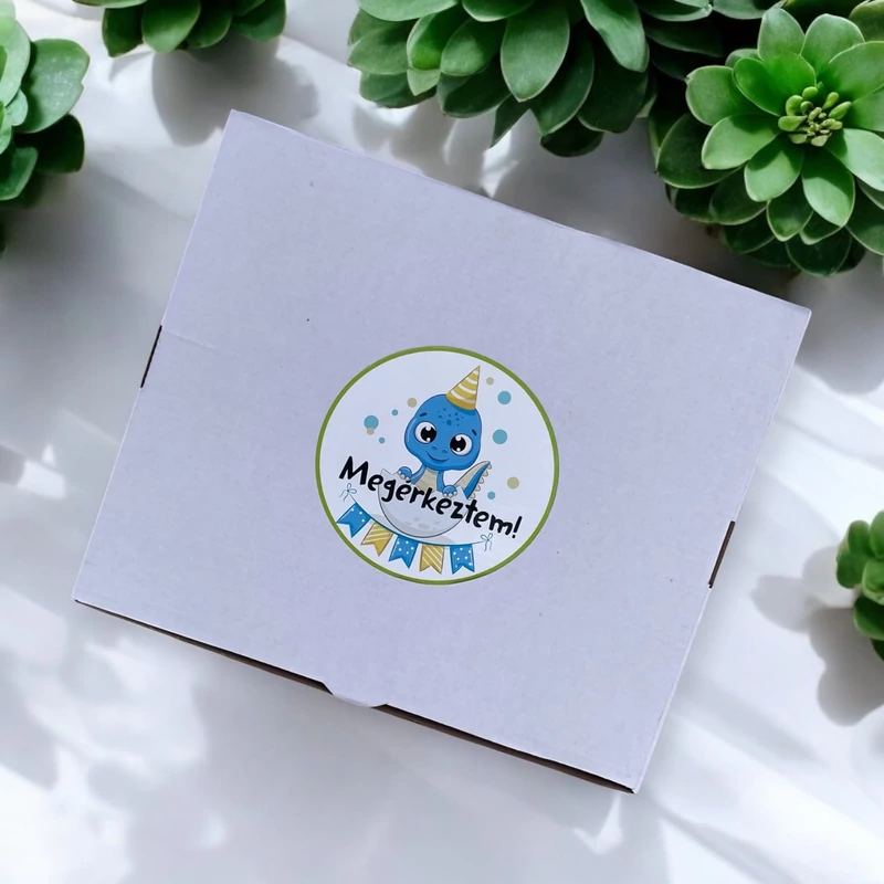 Kicsi Dínó Megérkeztem -  Babadoboz (Egyedi névvel)