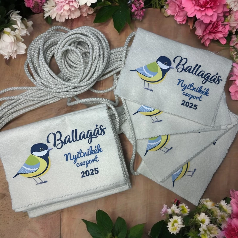 Ballagási tarisznya a csoport jelével (01A típus, egységes)